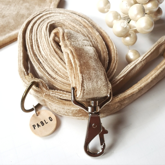 Pablo Gold Label Christmas Tan Velvet Dog Bandana & Leash Set - Picture 3 of 11